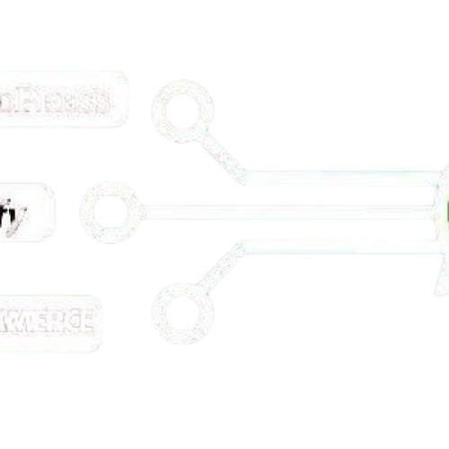 Free shopify wordpress Plugin